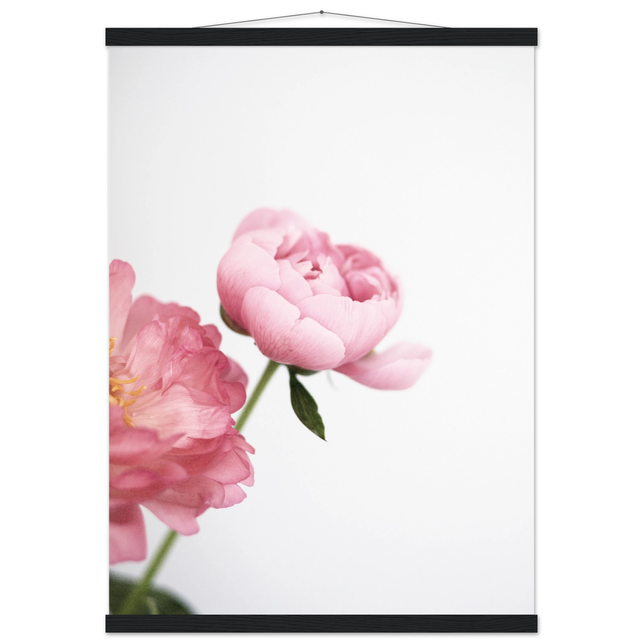 715ea0d8-2e59-47a7-b150-13a60860ba12