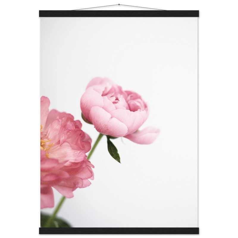 715ea0d8-2e59-47a7-b150-13a60860ba12