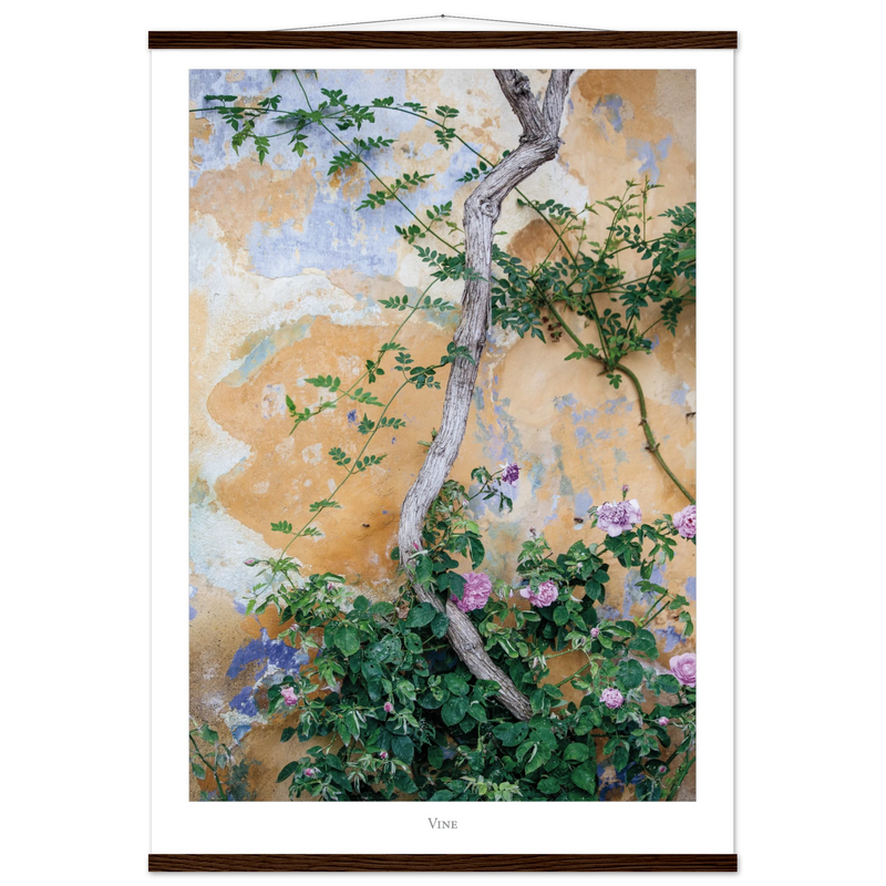 71617121-e877-4f72-a8ac-f8e6800113cf