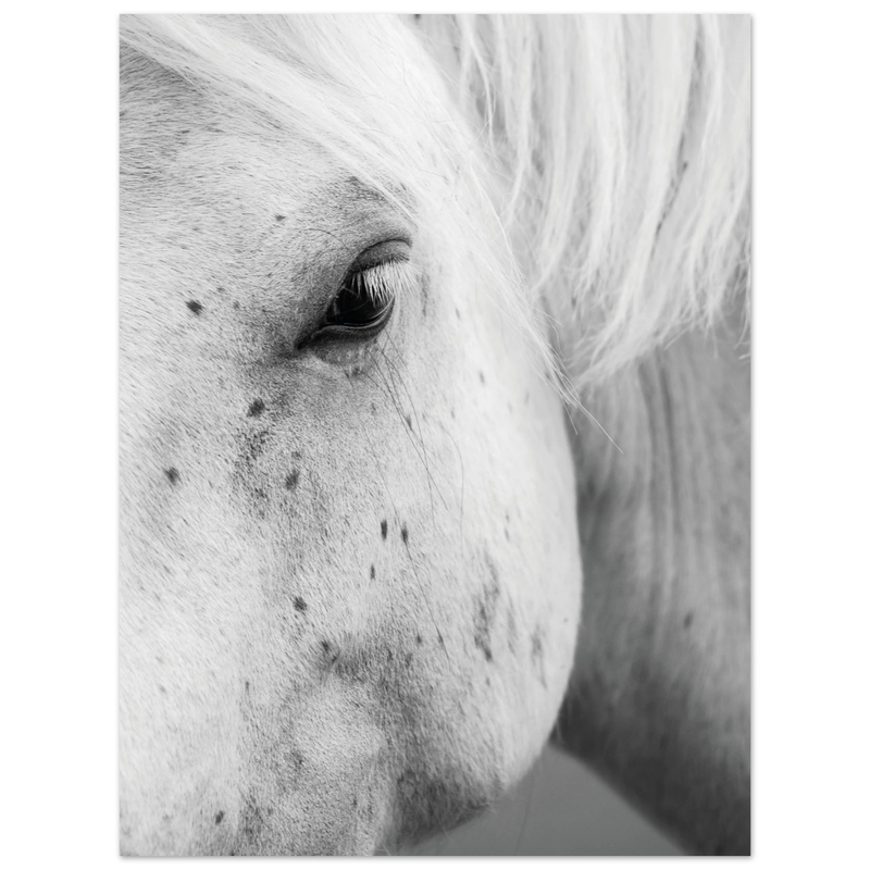 72906a96-694d-4b0c-8f38-ac0830165ad8