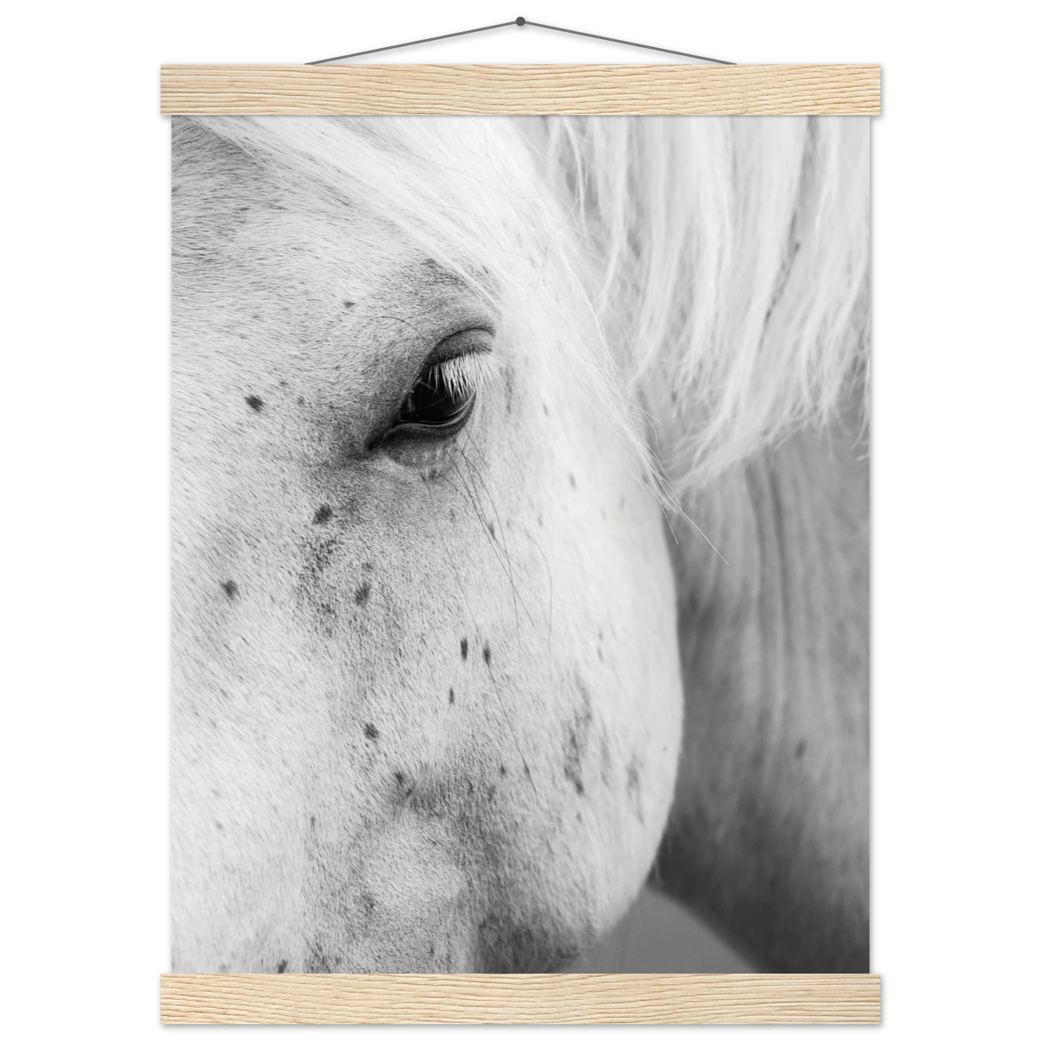 73aeaf2e-3210-4e60-997f-5bce793ba8e8