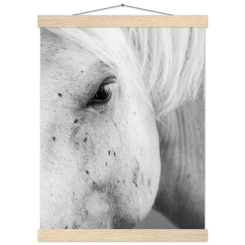 73aeaf2e-3210-4e60-997f-5bce793ba8e8