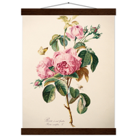 7478cb14-c860-4e10-97fe-31adb5601950