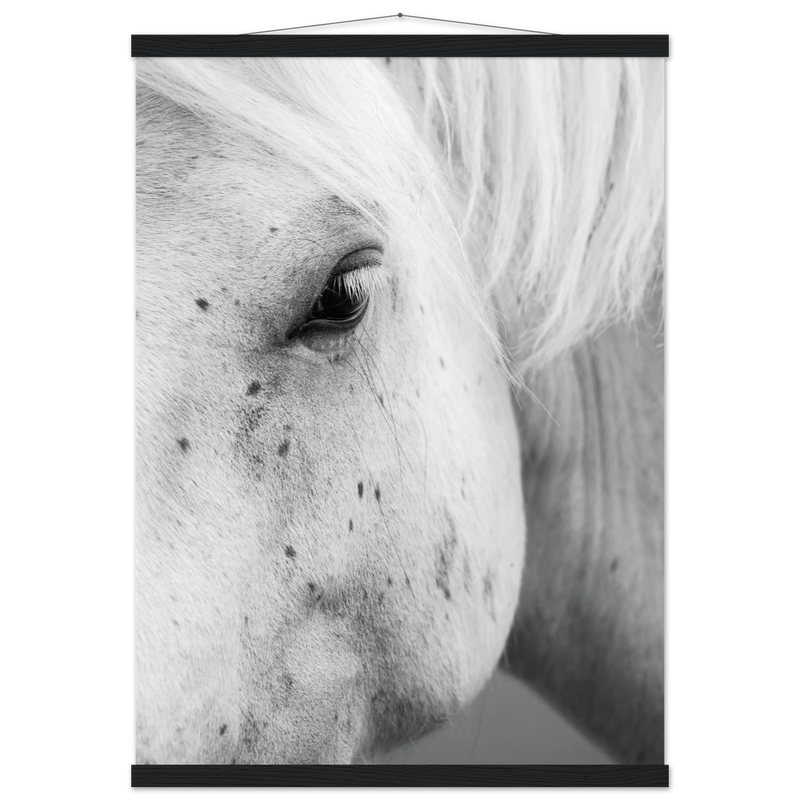 74c57fad-218c-4e9d-add1-73e8a1d5f592