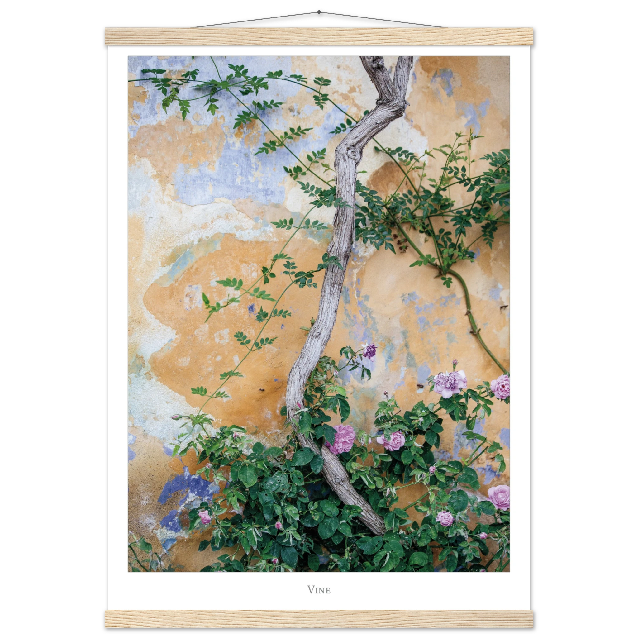 759f9c0d-05d2-45d4-bef1-d0f6f68101fa