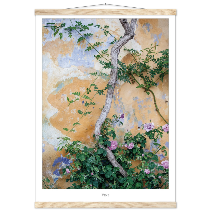 759f9c0d-05d2-45d4-bef1-d0f6f68101fa