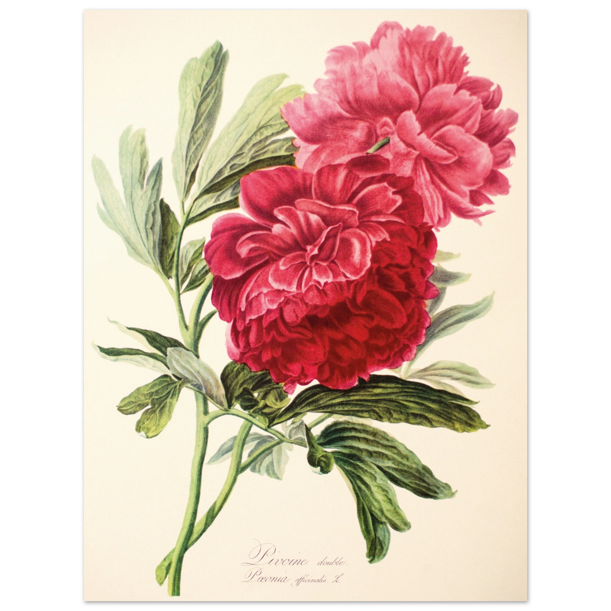 7603edc1-f954-4bcf-b4c9-438d3b3aac39