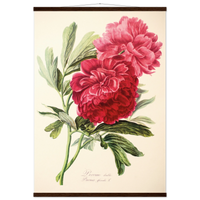 7620e52e-7da8-4f88-9509-7c75ae20b883