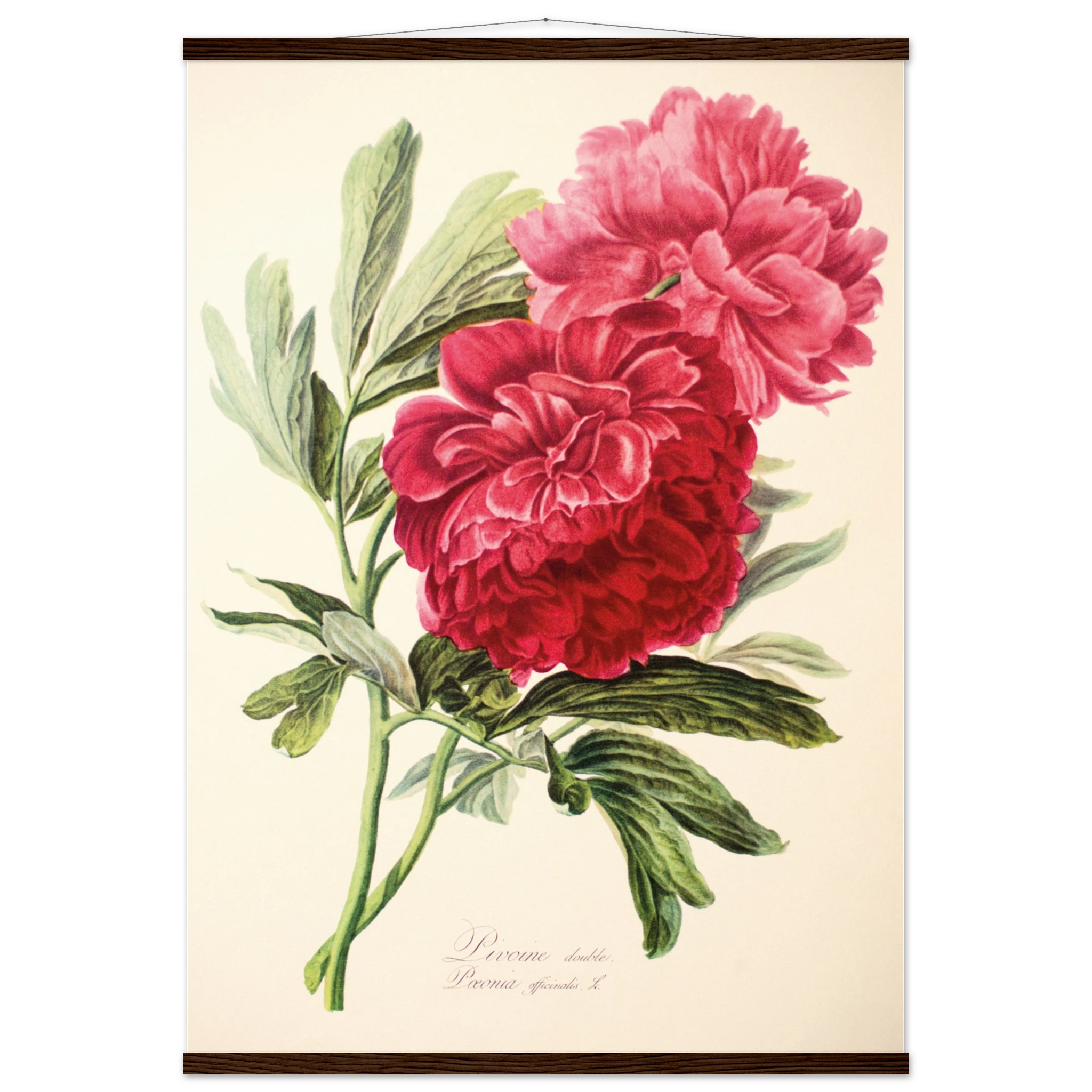 7620e52e-7da8-4f88-9509-7c75ae20b883