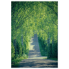 76900f68-da08-4249-b700-b8e1472d6dc4