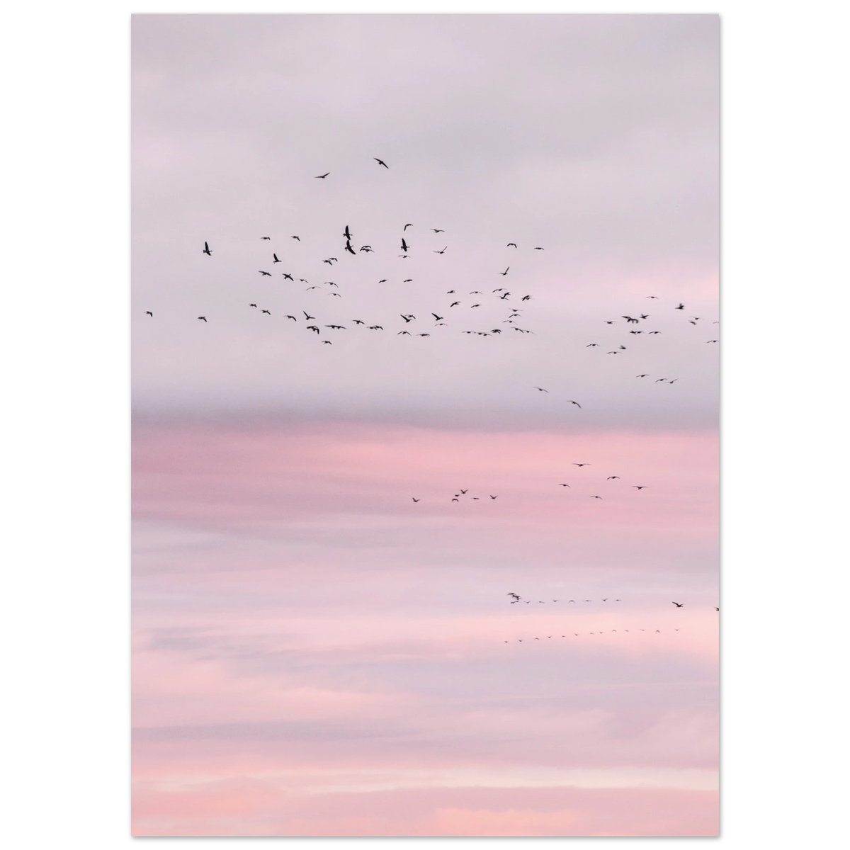 7710b08b-cfe0-4277-985d-6b694f7ca1ed