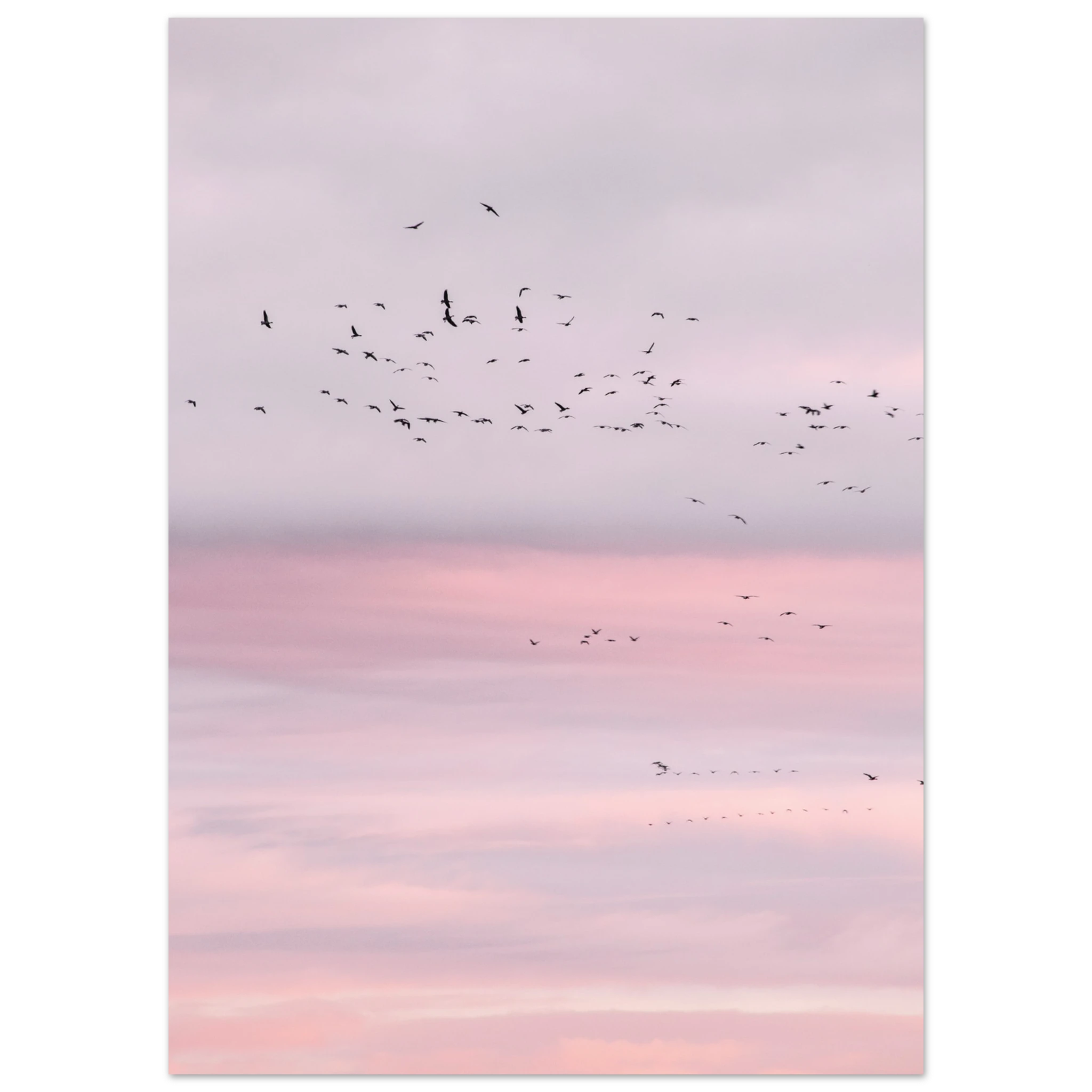 7710b08b-cfe0-4277-985d-6b694f7ca1ed