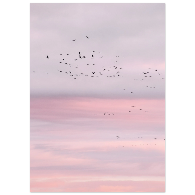7710b08b-cfe0-4277-985d-6b694f7ca1ed