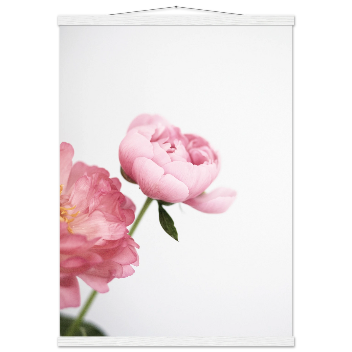 77649e3a-4fb1-4e88-bce9-ec631e0cc648