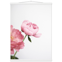 77649e3a-4fb1-4e88-bce9-ec631e0cc648