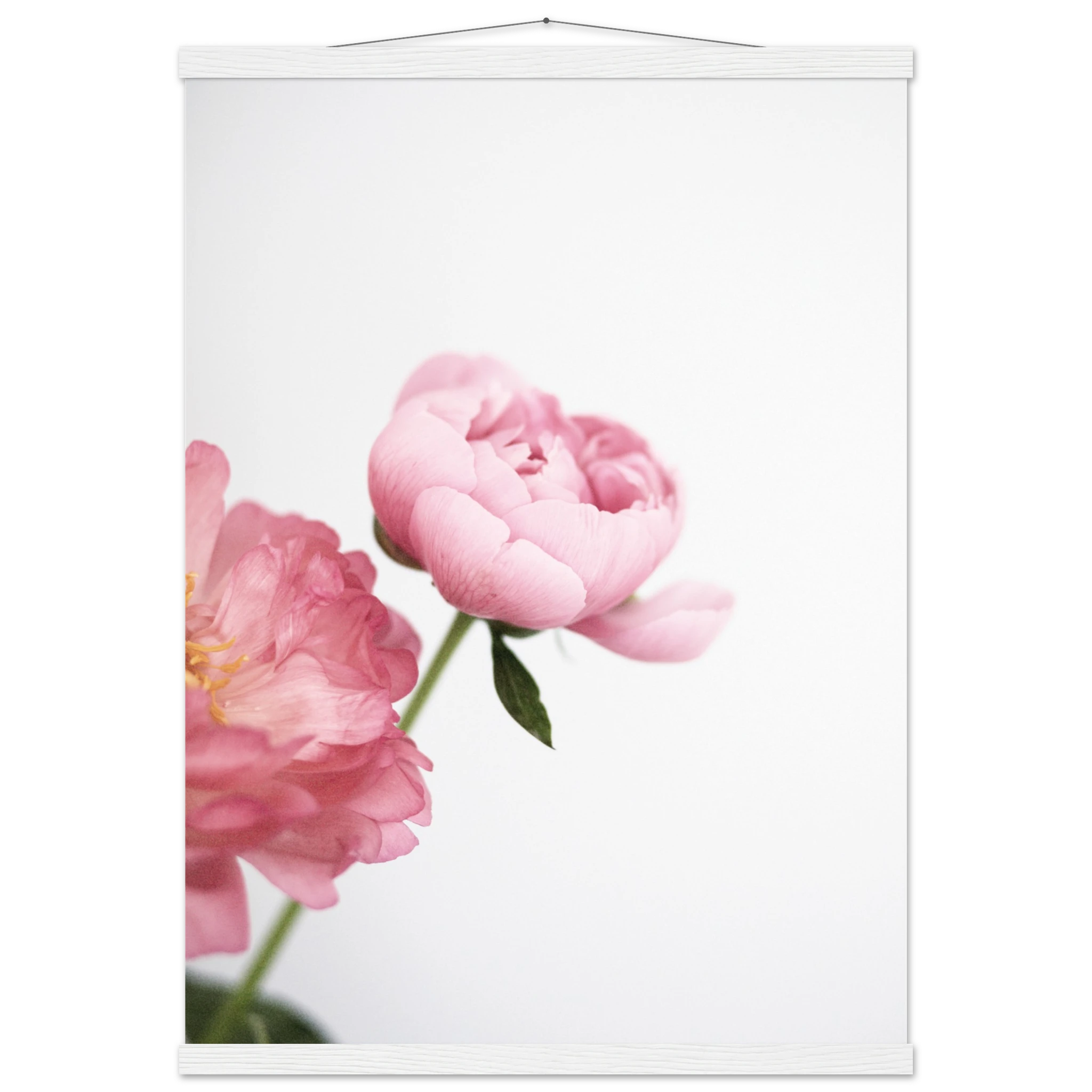 77649e3a-4fb1-4e88-bce9-ec631e0cc648