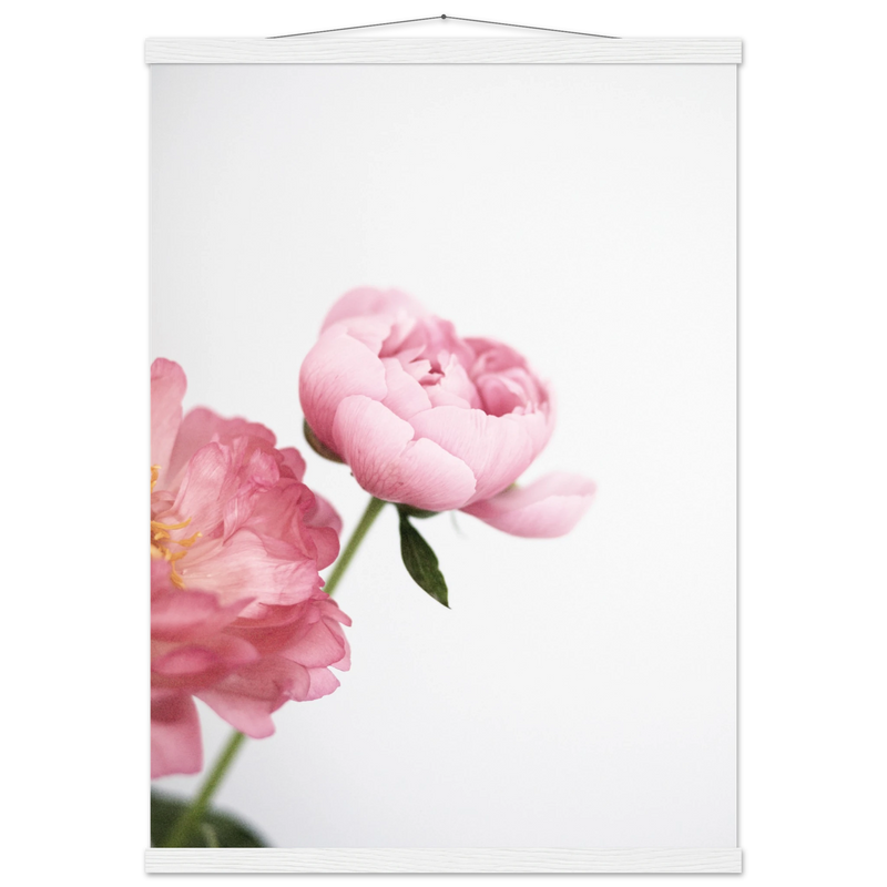 77649e3a-4fb1-4e88-bce9-ec631e0cc648