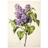 7775bb19-d566-4600-a5b9-ace92503ed92