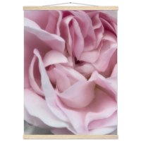 77c3808a-07b7-4c62-90d4-fe9a83ee31a4
