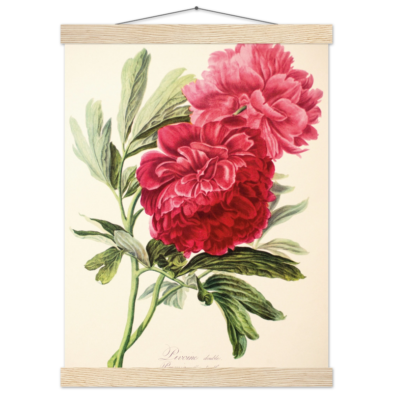 7837023b-e176-40ee-a022-01d91d995af9