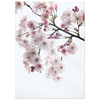 790c210e-66a3-4391-925f-ab4ca71814b4