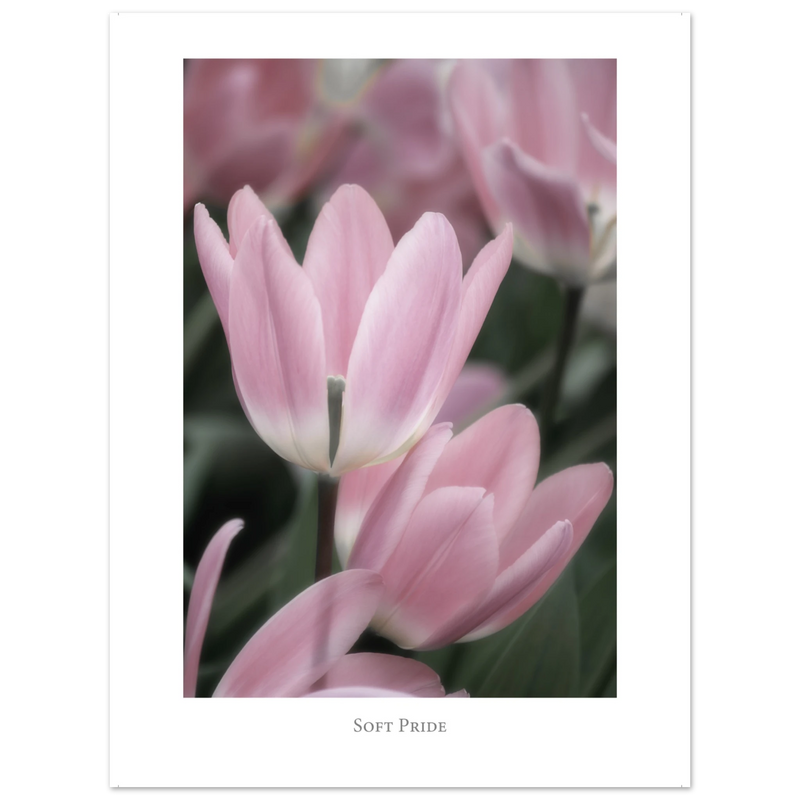 79ee24dd-a473-4786-8b56-b5608991c690