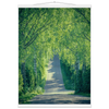 7a9996ad-e7e5-4b16-8cff-154d143a4c56