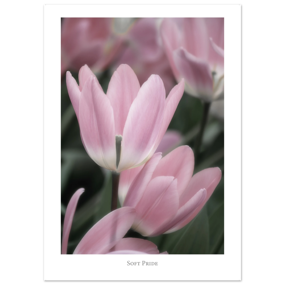 7b5238cb-25a0-480d-af8b-9580b289834c