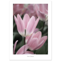 7b5238cb-25a0-480d-af8b-9580b289834c