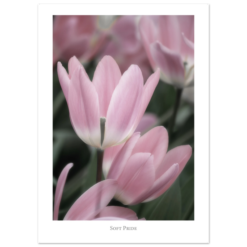 7b5238cb-25a0-480d-af8b-9580b289834c