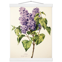 7b8c7b70-3668-4696-9379-b9e53c9e8241