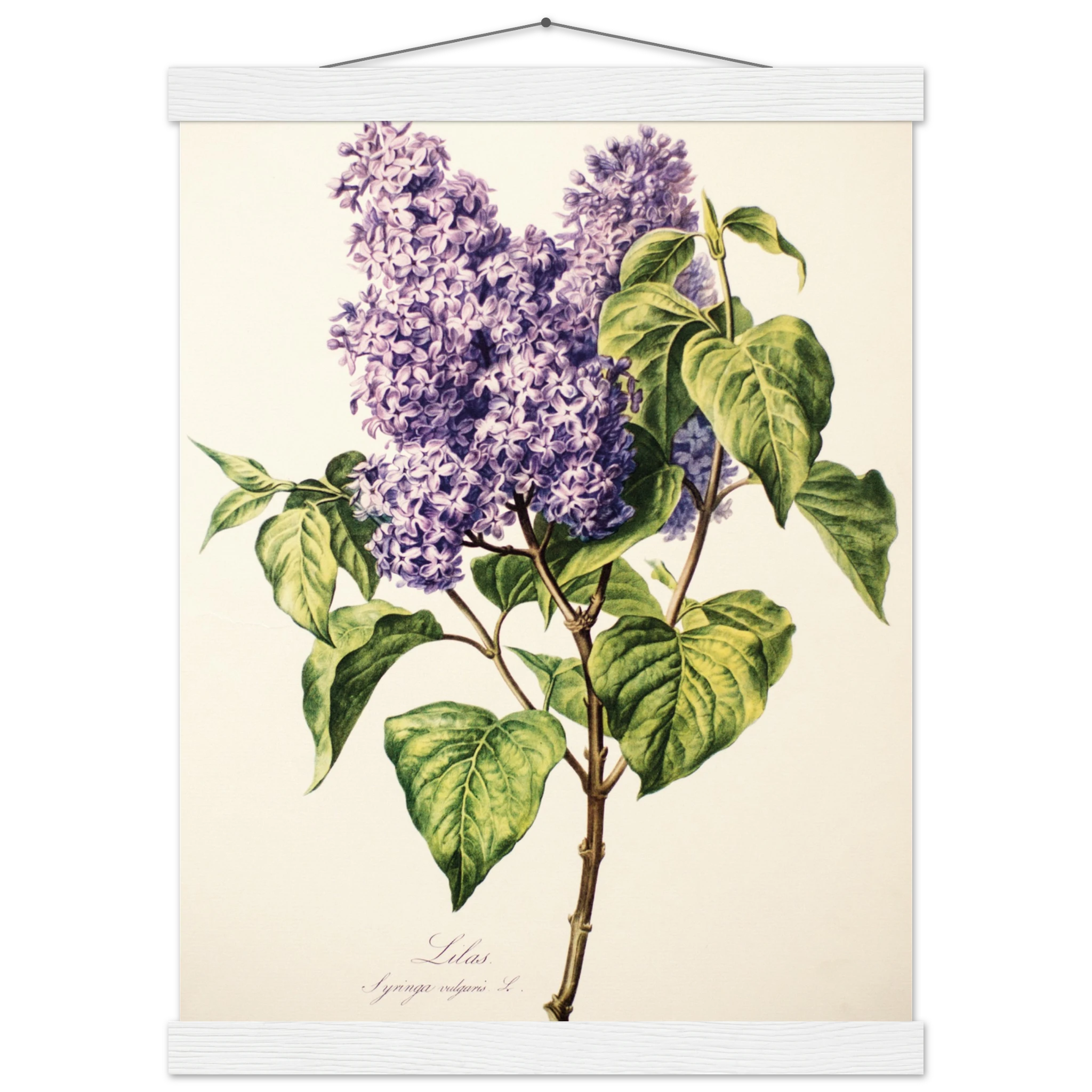 7b8c7b70-3668-4696-9379-b9e53c9e8241