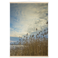 7b97adb4-747b-47c5-889f-0c20b1665590