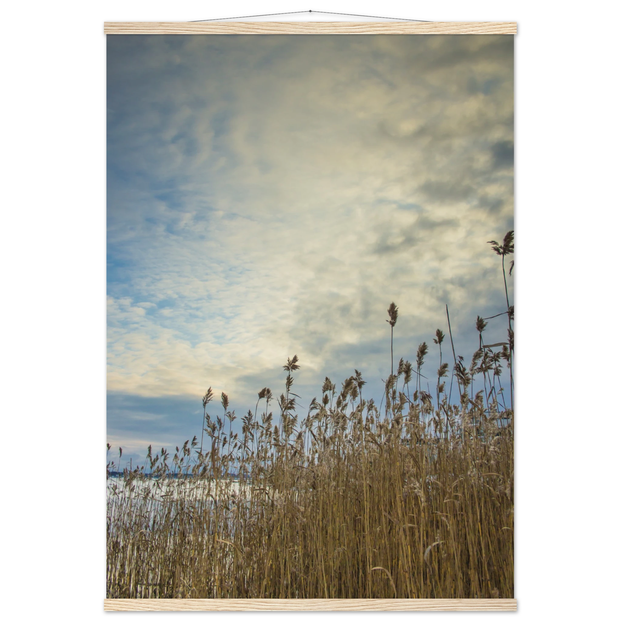 7b97adb4-747b-47c5-889f-0c20b1665590