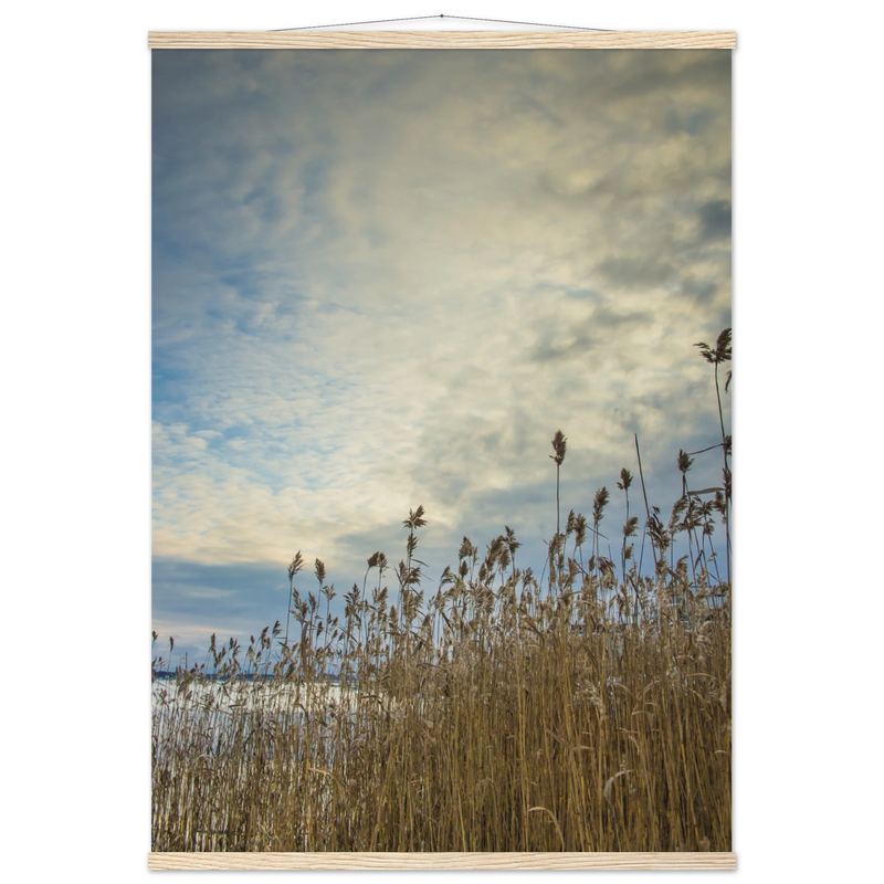 7b97adb4-747b-47c5-889f-0c20b1665590