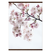 7bf93019-794e-430c-b4a7-f3a1394fb38d