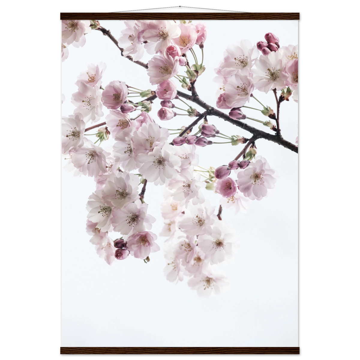 7bf93019-794e-430c-b4a7-f3a1394fb38d
