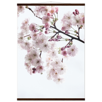 7bf93019-794e-430c-b4a7-f3a1394fb38d