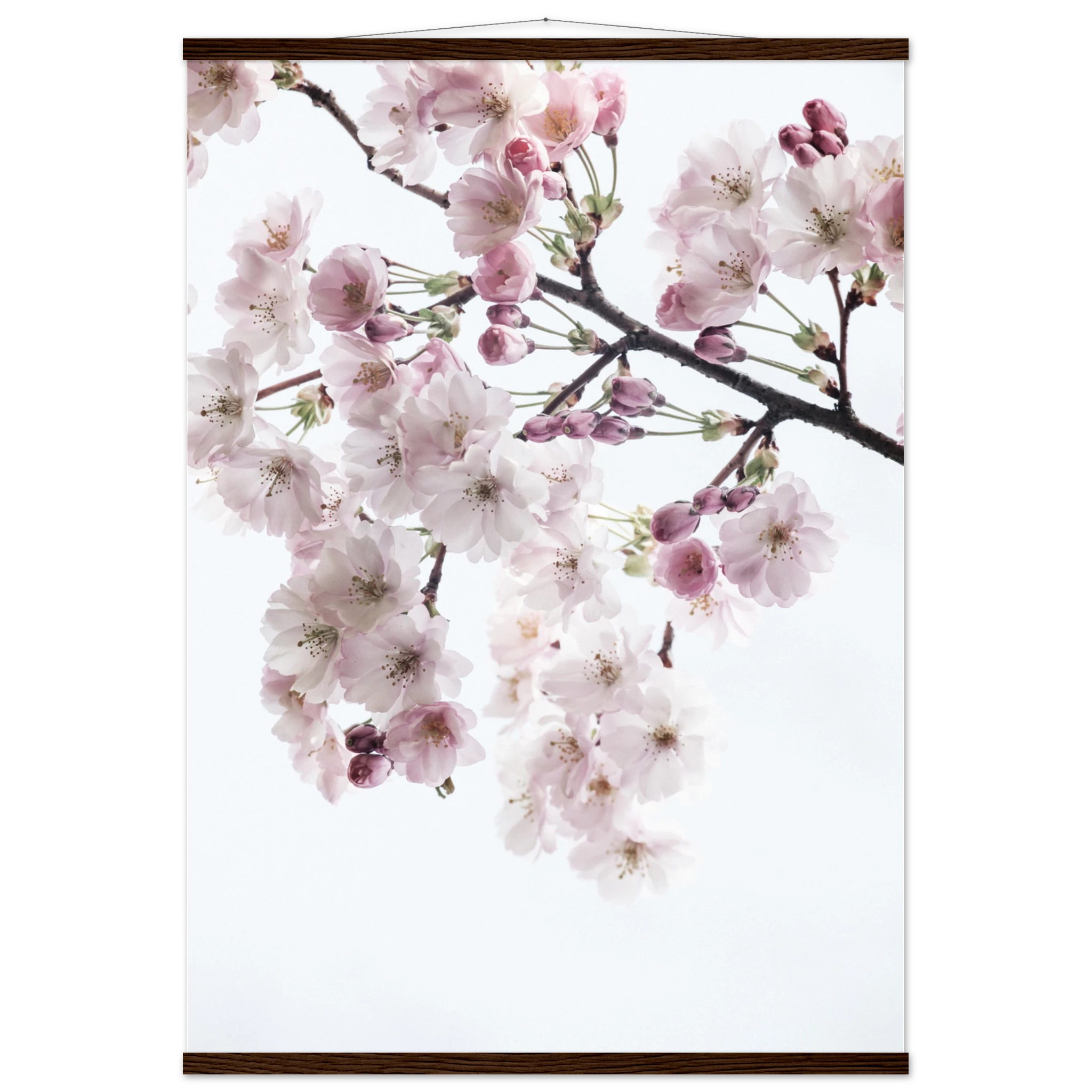 7bf93019-794e-430c-b4a7-f3a1394fb38d