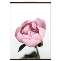 7c5175f7-29eb-4f88-b291-3594327907cc