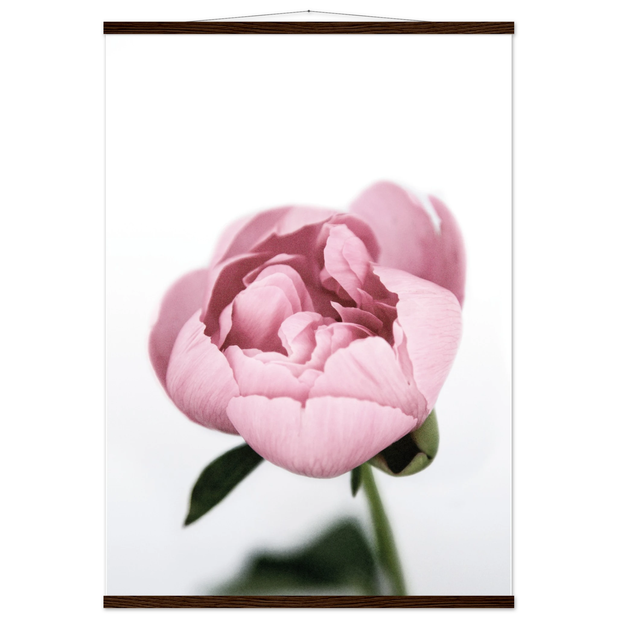 7c5175f7-29eb-4f88-b291-3594327907cc