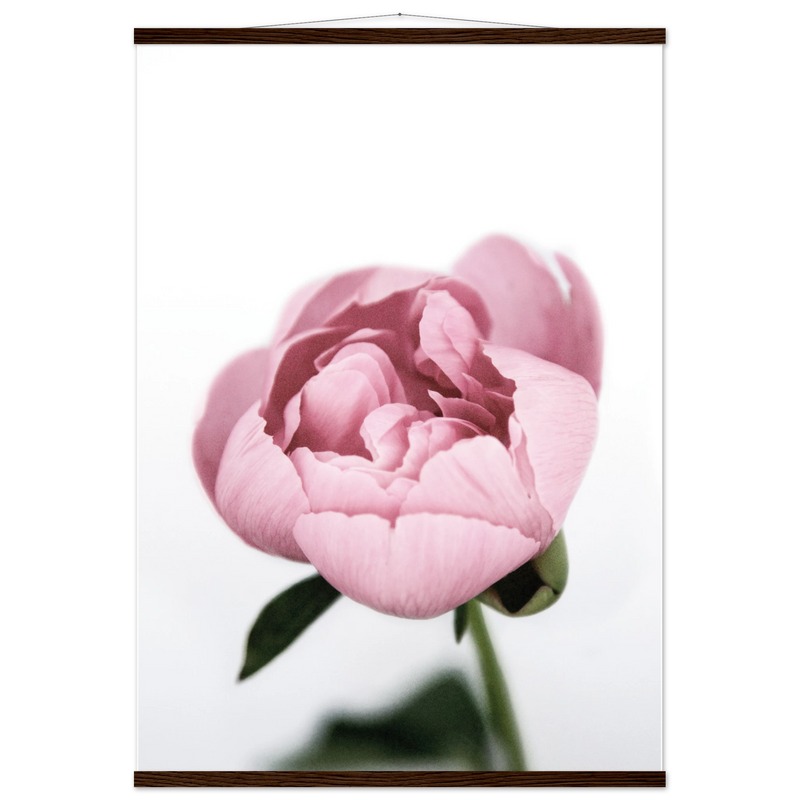 7c5175f7-29eb-4f88-b291-3594327907cc