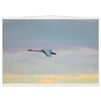 7c9a8d28-7e8f-4062-91dd-dd58eea2c841