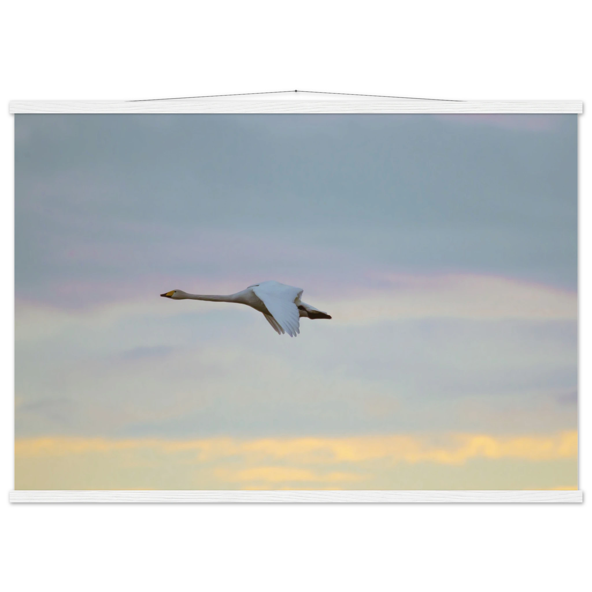 7c9a8d28-7e8f-4062-91dd-dd58eea2c841