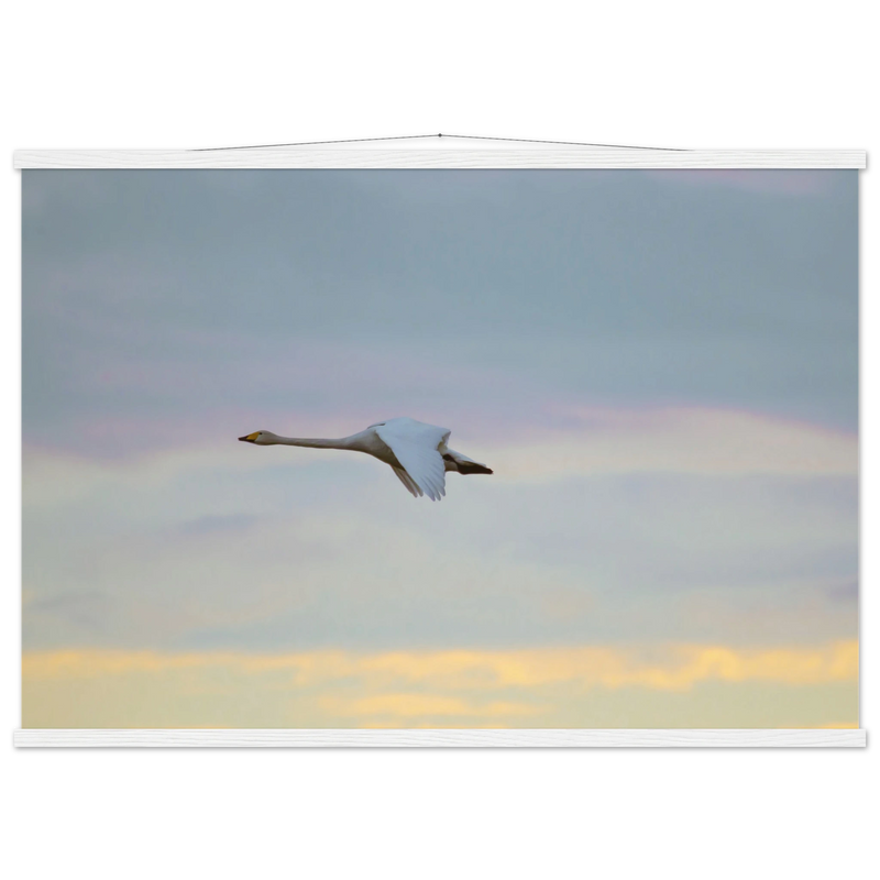 7c9a8d28-7e8f-4062-91dd-dd58eea2c841