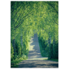 7cfe1e1d-b36d-4e43-85da-990b0c3652bf
