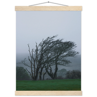 7cff6641-d734-43f9-8880-b7b8f6a4dedb