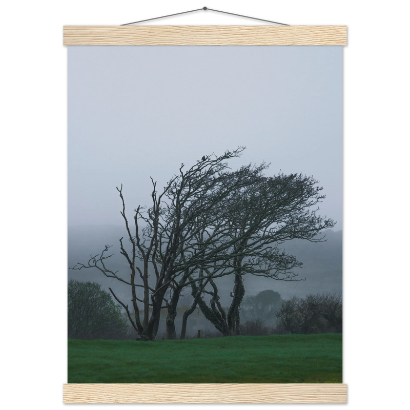 7cff6641-d734-43f9-8880-b7b8f6a4dedb