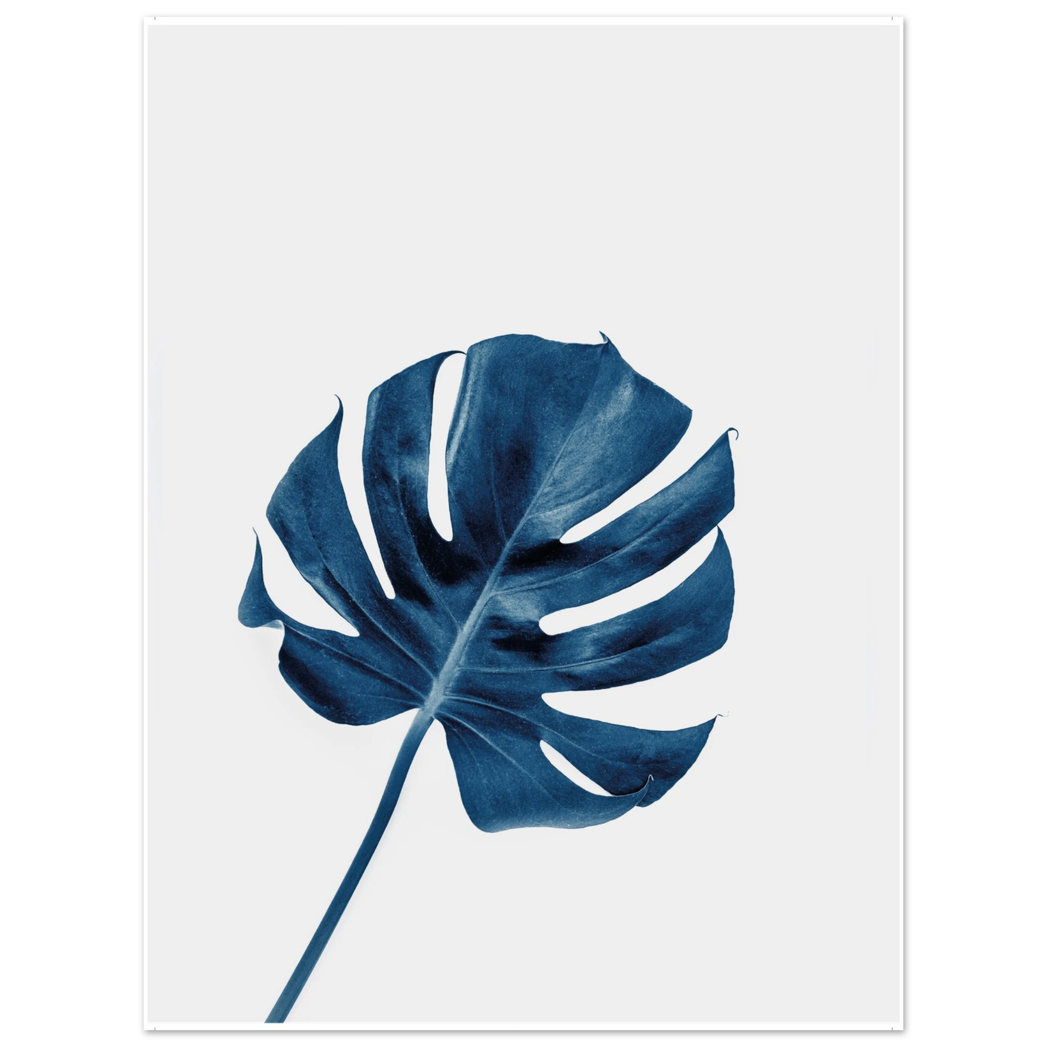 7d4bdc9c-a076-4be5-8471-d81116ba0350