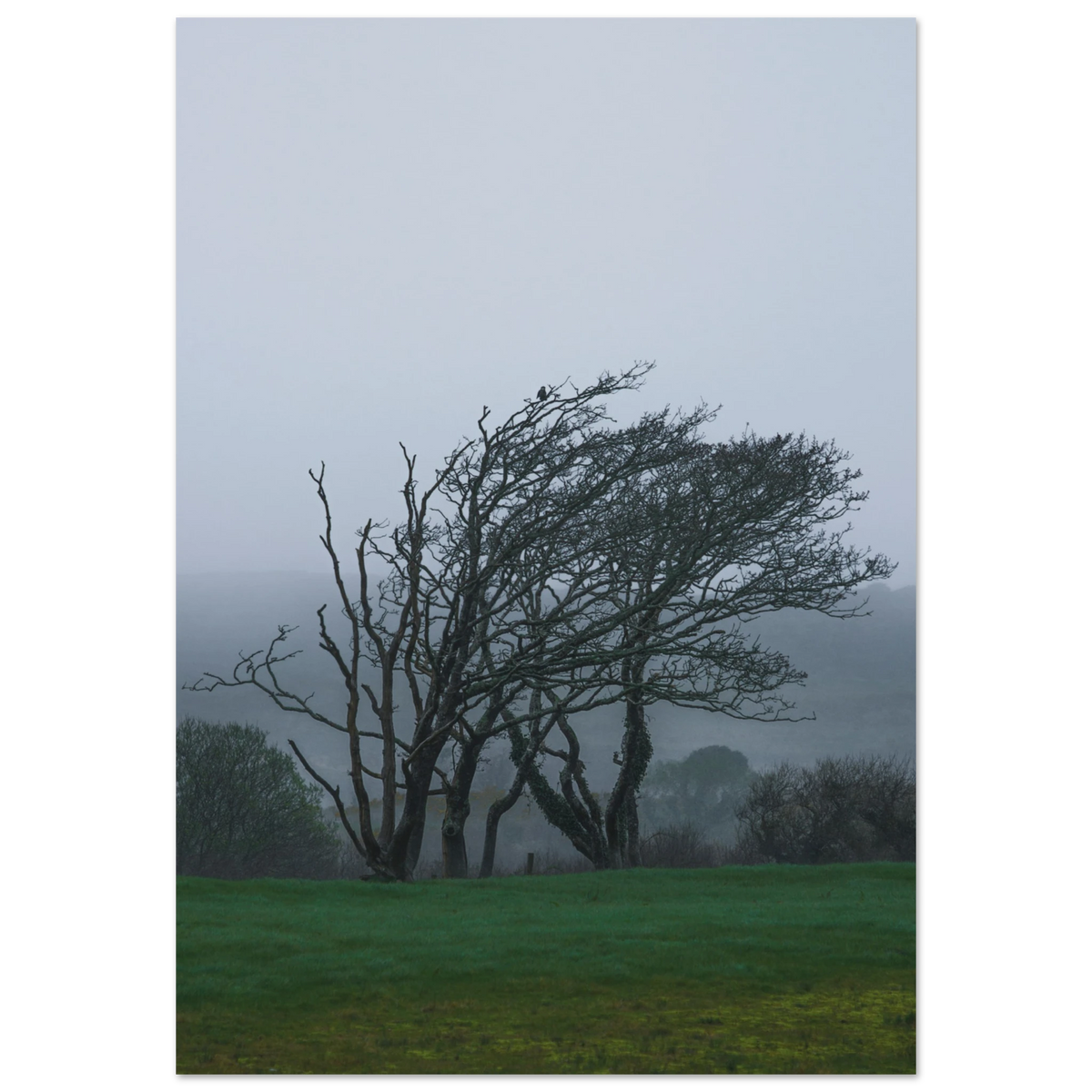 7e153800-e84d-461a-9656-7311fb70f6f7